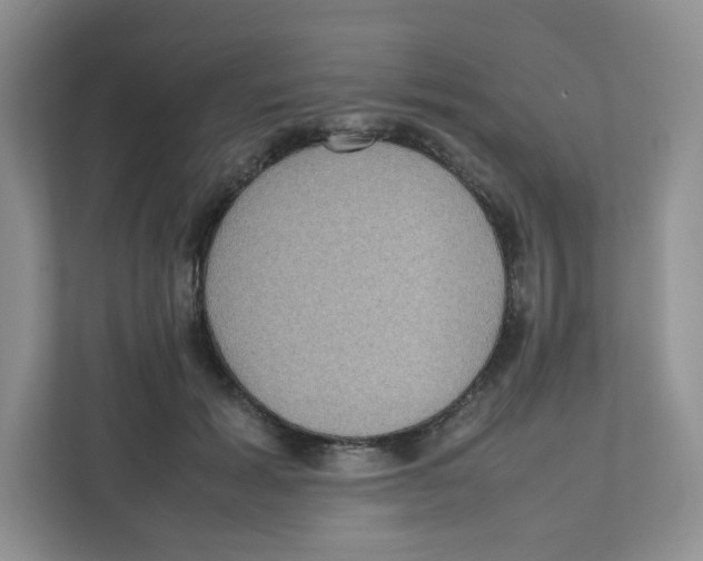 X0000111190605200907291205