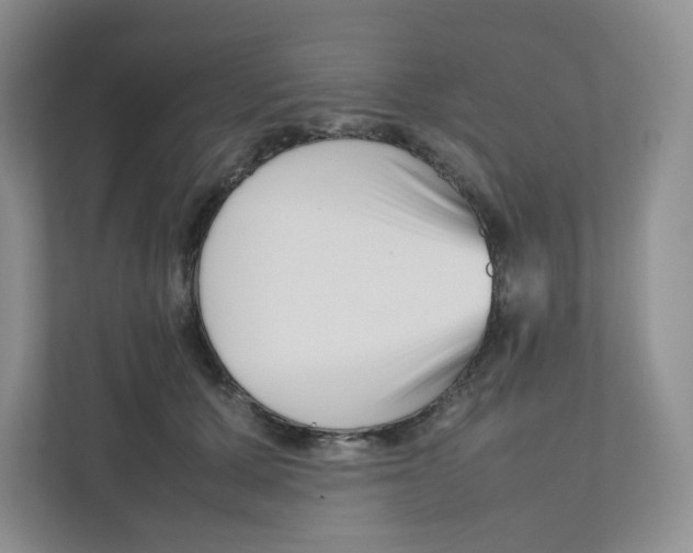 X0000111190607200907291205