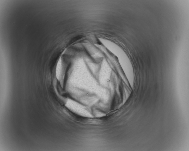 X0000111190617200907291205