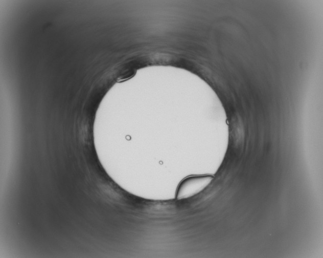 X0000111190619200907291205