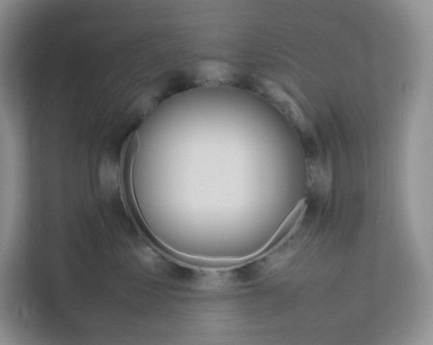 X0000111190621200907291205