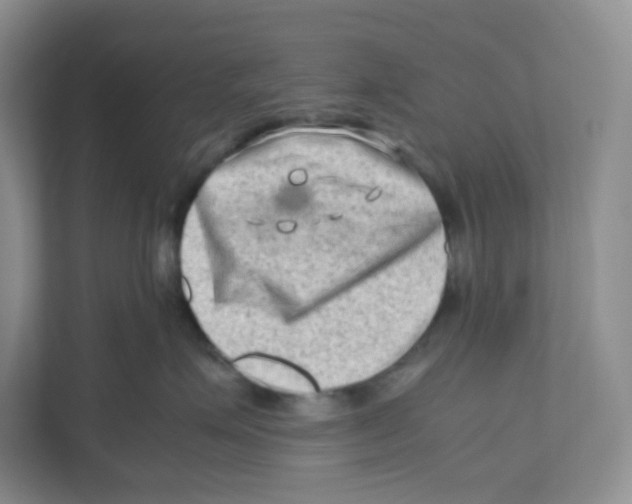 X0000111190623200907291205