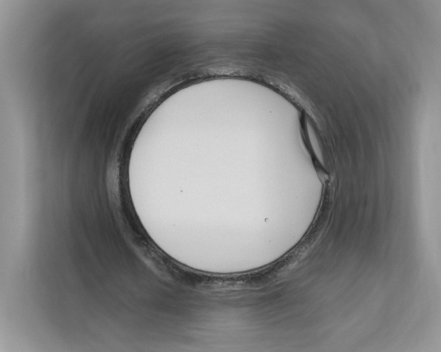 X0000111190626200907291204