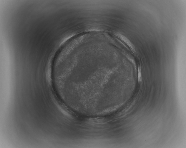 X0000111190627200907291204
