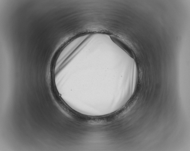 X0000111190630200907291204