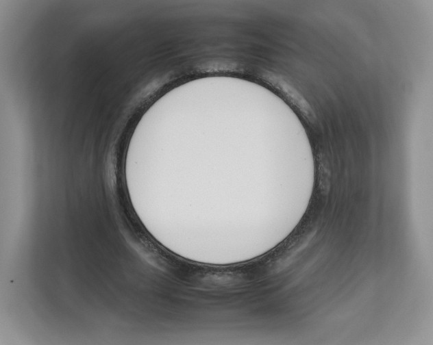 X0000111190631200907291204