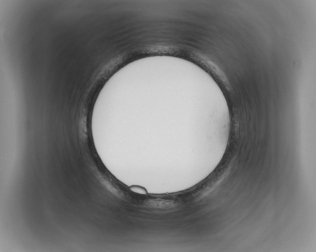 X0000111190633200907291204