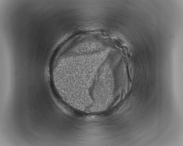 X0000111190634200907291204