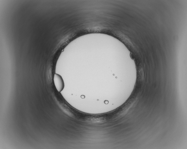 X0000111190638200907291204