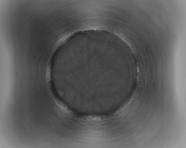 X0000111190640200907291205