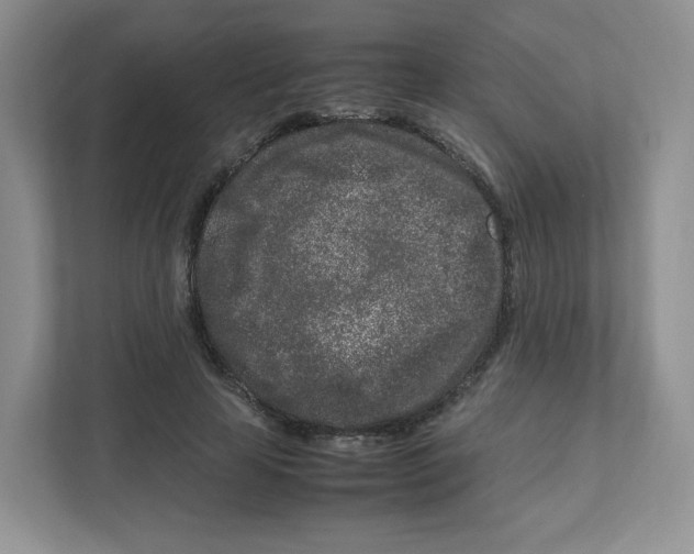 X0000111190641200907291205