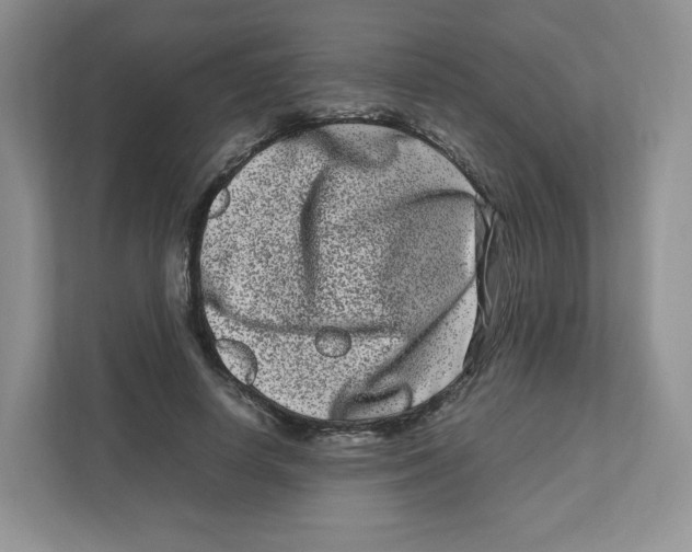 X0000111190642200907291205