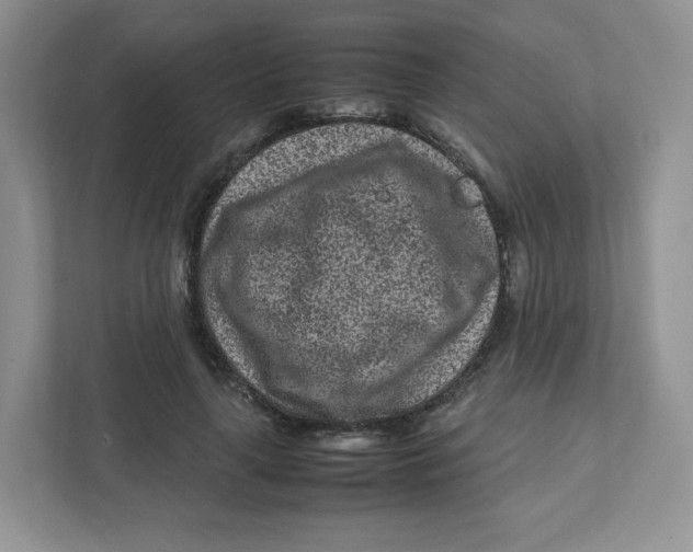 X0000111190643200907291205