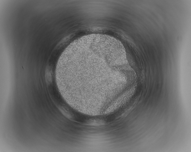 X0000111190644200907291205