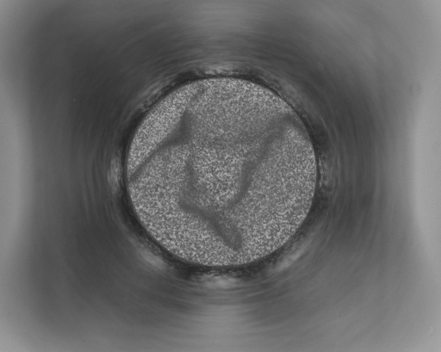 X0000111190648200907291205