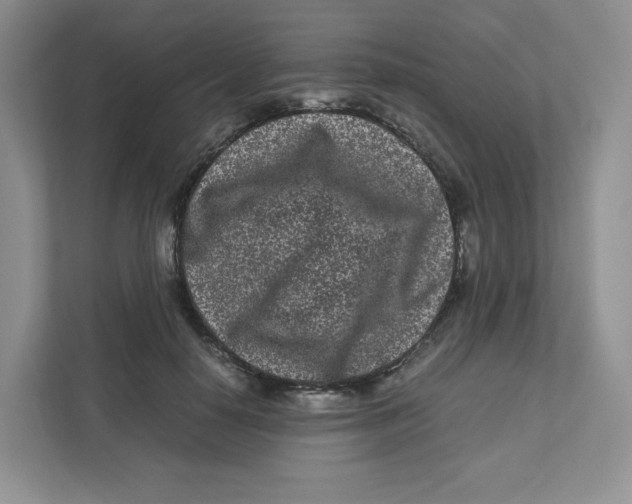 X0000111190650200907291205