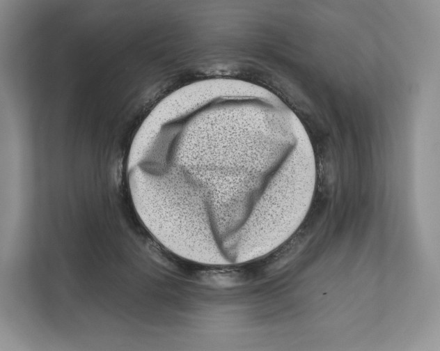X0000111190652200907291205