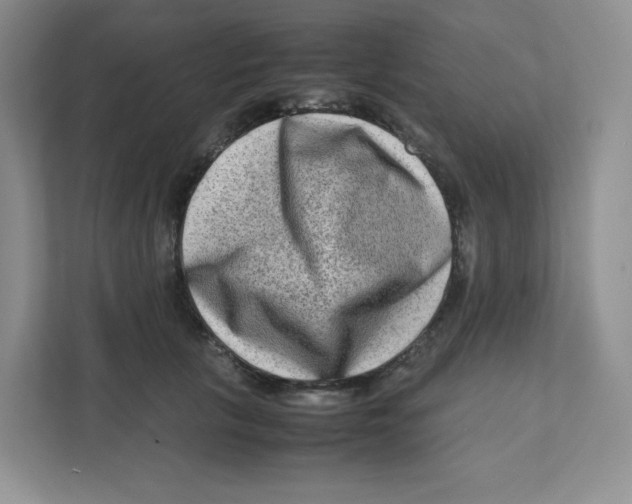 X0000111190657200907291205