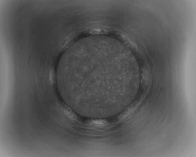 X0000111190659200907291205