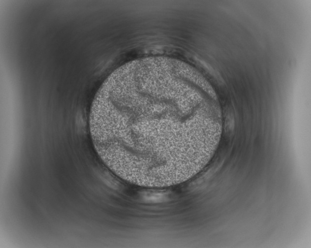 X0000111190661200907291205