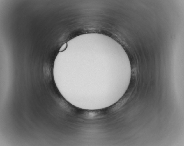 X0000111190662200907291205