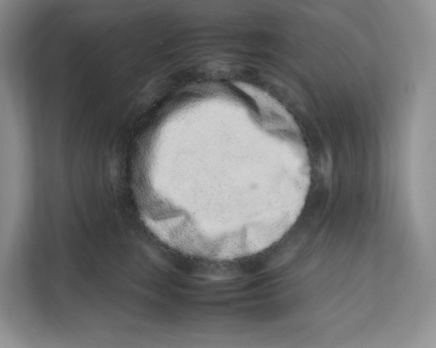 X0000111190663200907291205