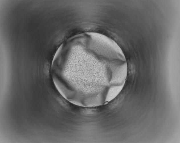 X0000111190664200907291205