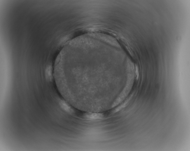 X0000111190670200907291205