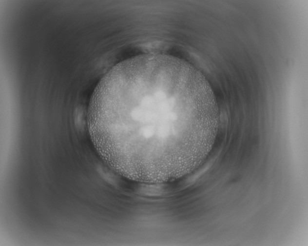 X0000111190671200907291205