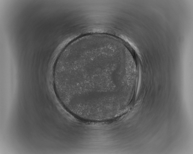 X0000111190673200907291204