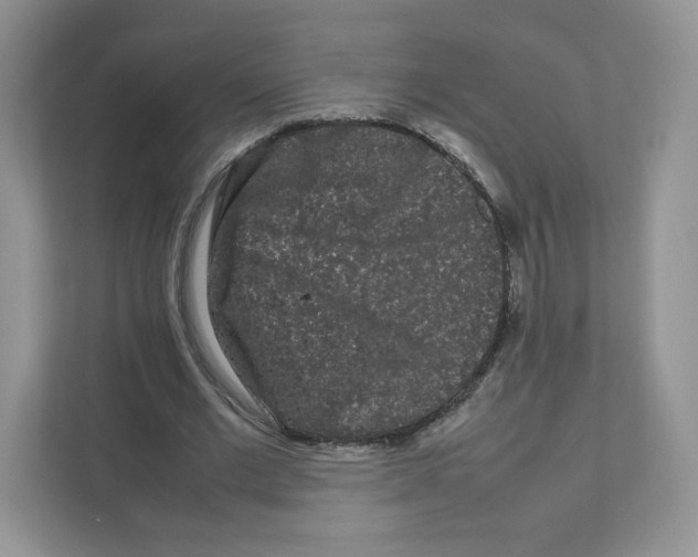 X0000111190677200907291204