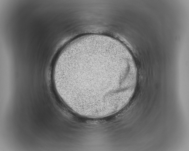 X0000111190679200907291204