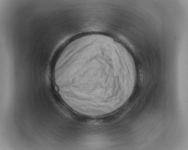 X0000111190680200907291204