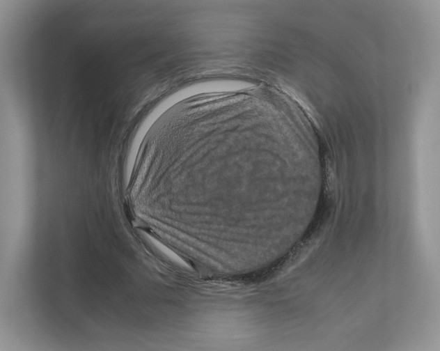 X0000111190681200907291204