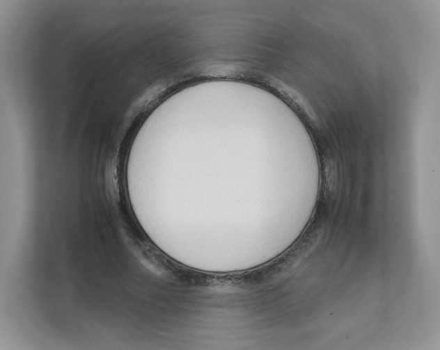 X0000111190682200907291204