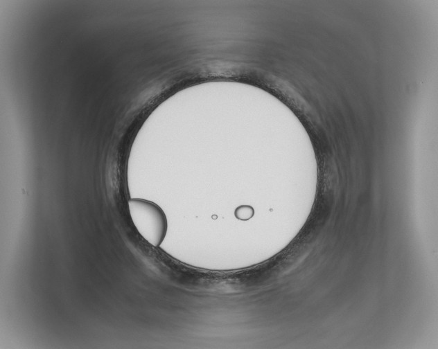 X0000111190683200907291204