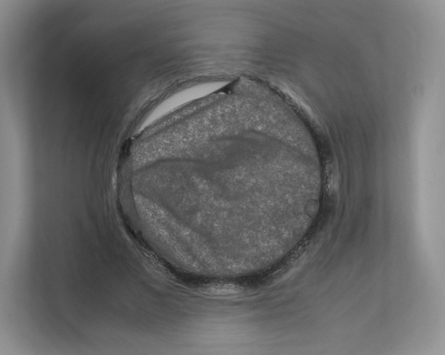 X0000111190685200907291204