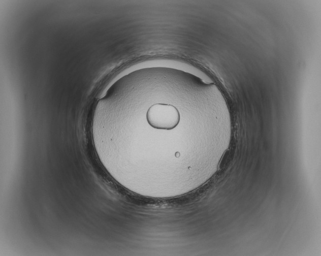 X0000111190688200907291204