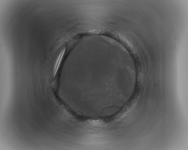 X0000111190689200907291204