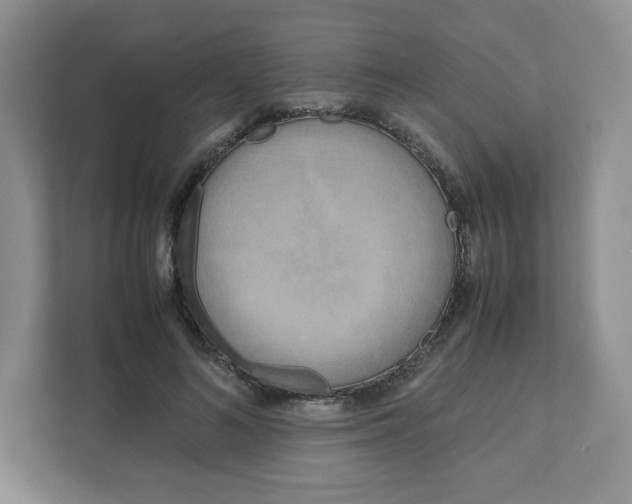 X0000111190692200907291204
