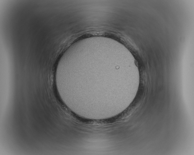 X0000111190697200907291204