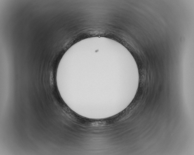 X0000111190700200907291204