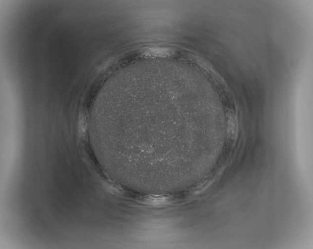 X0000111190701200907291204