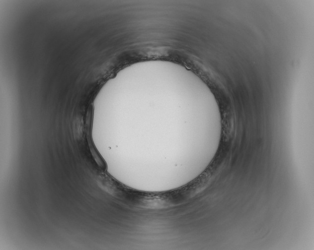 X0000111190704200907291204