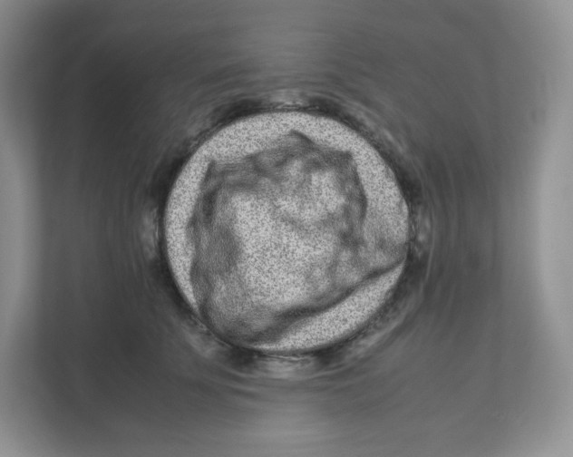 X0000111190707200907291204