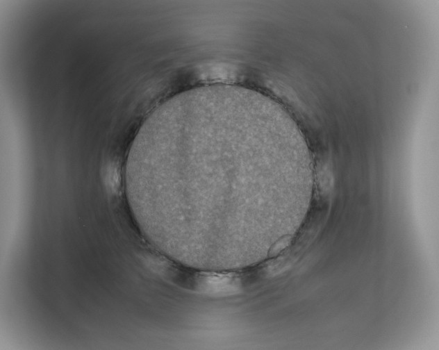 X0000111190709200907291204