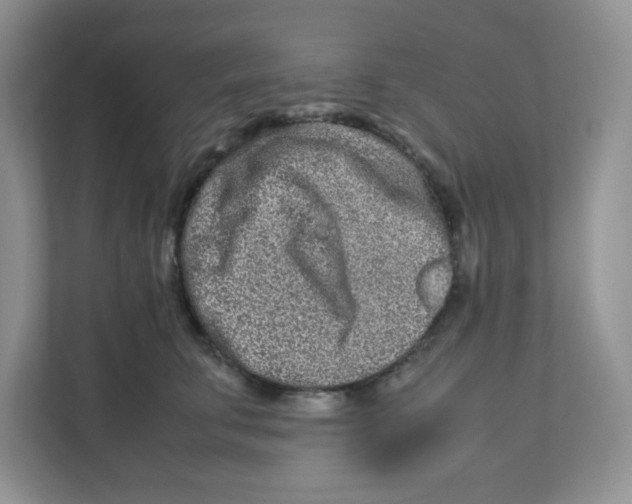 X0000111190711200907291204