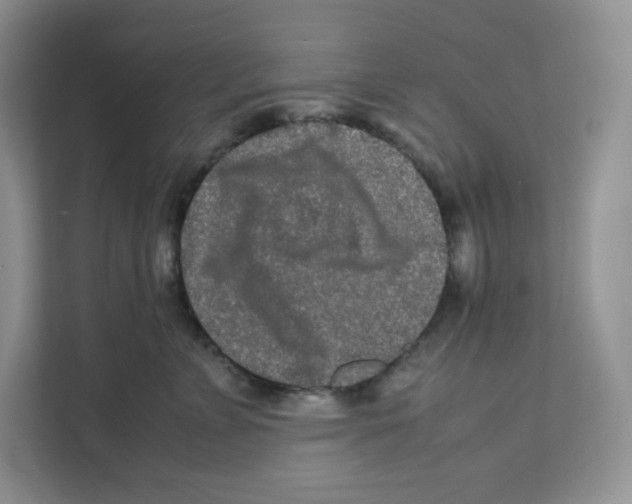 X0000111190715200907291204