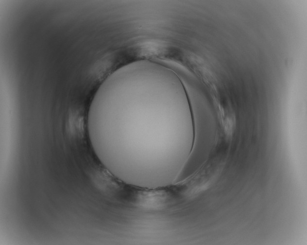 X0000111190716200907291204