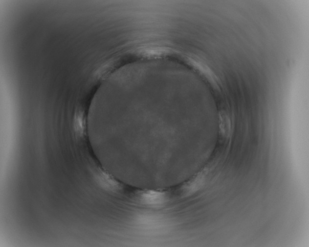 X0000111190718200907291204